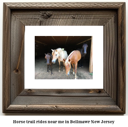 horse trail rides near me in Bellmawr, New Jersey